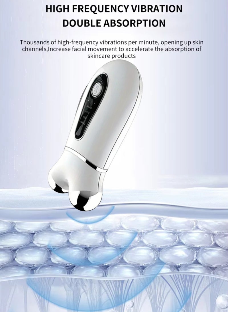 Professional Microcurrent Facial Device – Anti-Aging Massager, EMS Face Roller for Skin Tightening, Lifting & Wrinkle Removal