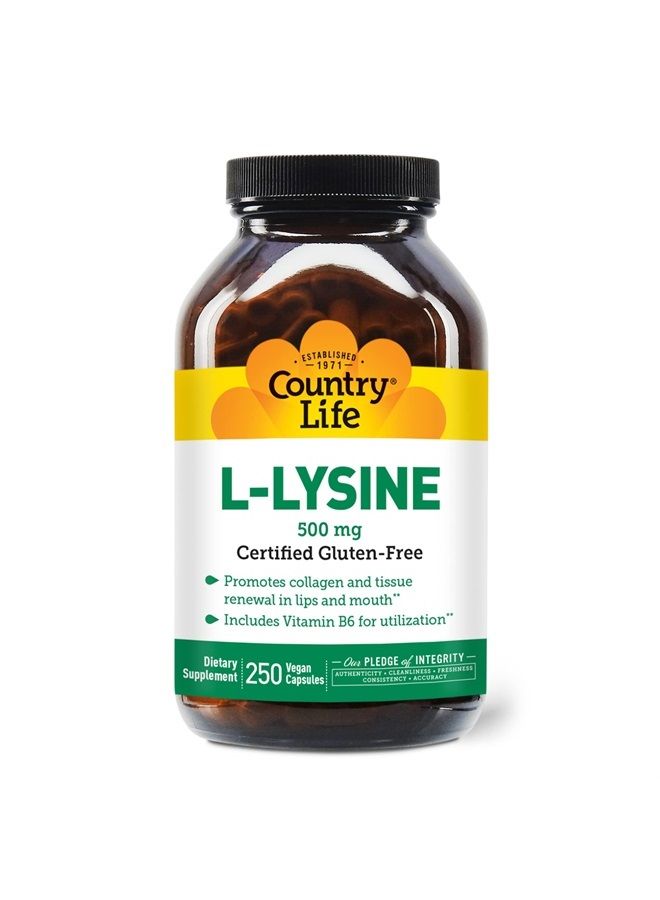 L-Lysine 500mg with B-6, Supports Immune Health, Promotes Collagen Renewal in Lips and Mouth, 250 Vegan Capsules, Certified Gluten Free, Certified Vegan