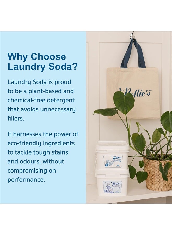 Laundry Soda - Concentrated Laundry Detergent Powder -Bulk 500 Loads - Eco-Friendly, Biodegradable, Vegan, Hypoallergenic, Fragrance-Free, and Non-Toxic Formula