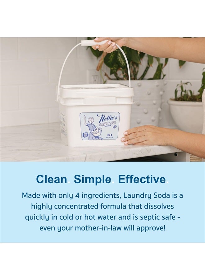 Laundry Soda - Concentrated Laundry Detergent Powder -Bulk 500 Loads - Eco-Friendly, Biodegradable, Vegan, Hypoallergenic, Fragrance-Free, and Non-Toxic Formula