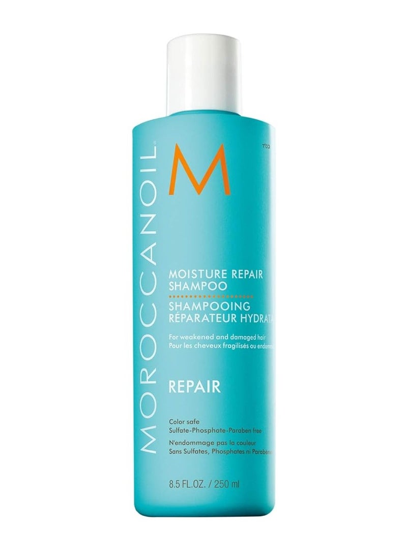 Moisture Repair Shampoo 250ml