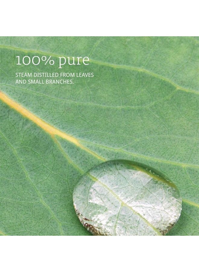 Eucalyptus Essential Oil, 2 Fl Oz (1 Count)
