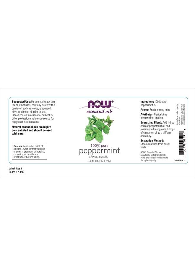 Essential Oils, Peppermint Oil, Invigorating Aromatherapy Scent, Steam Distilled, 100% Pure, Vegan, Child Resistant Cap, 16-Ounce