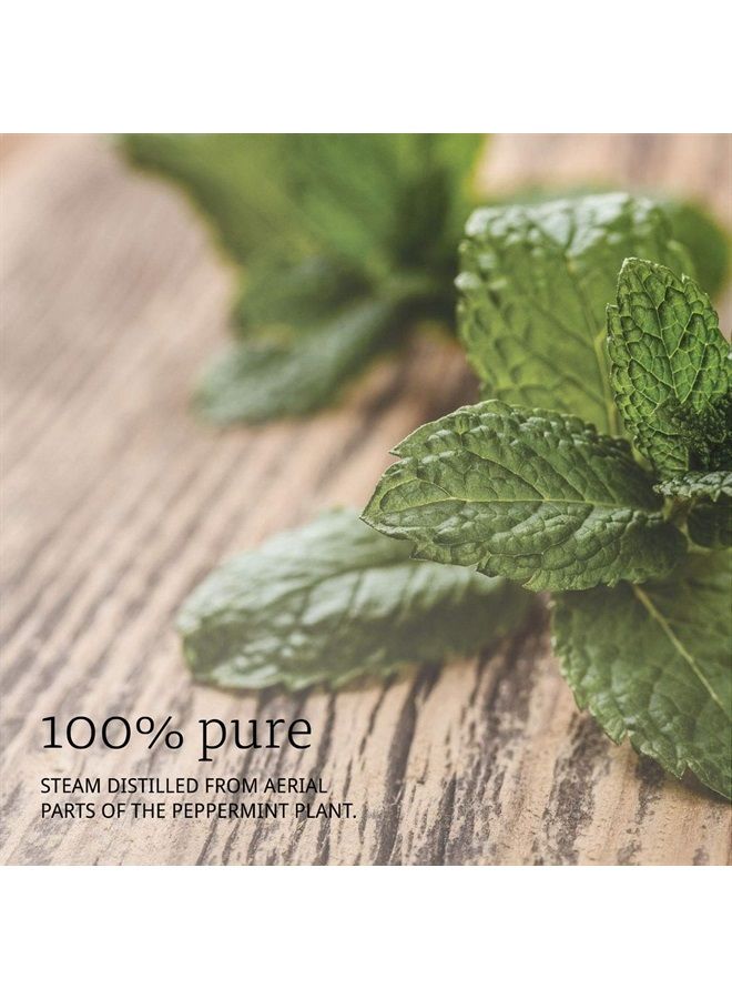 Essential Oils, Peppermint Oil, Invigorating Aromatherapy Scent, Steam Distilled, 100% Pure, Vegan, Child Resistant Cap, 16-Ounce