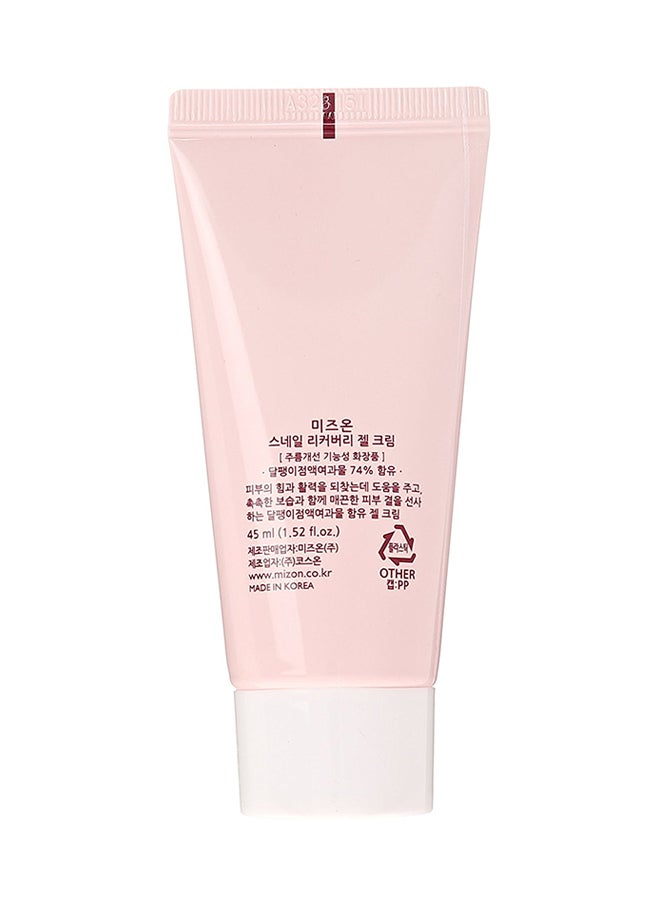 Snail Recovery Gel Cream