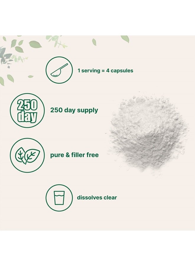 Pure L Serine Powder, 500 Grams (250 Day Supply), Filler Free, Supports Production of L-Cystine & L-Tryptophan for Brain Health, Water Soluble, No GMOs, No Gluten