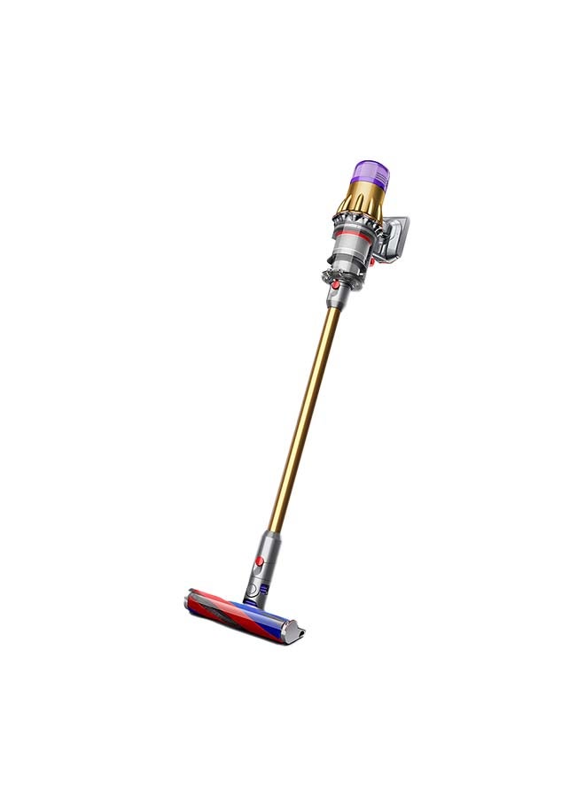 Cordless Vacuum Cleaner with suction 100AW 0.3 L 380 W Digital Slim Gold