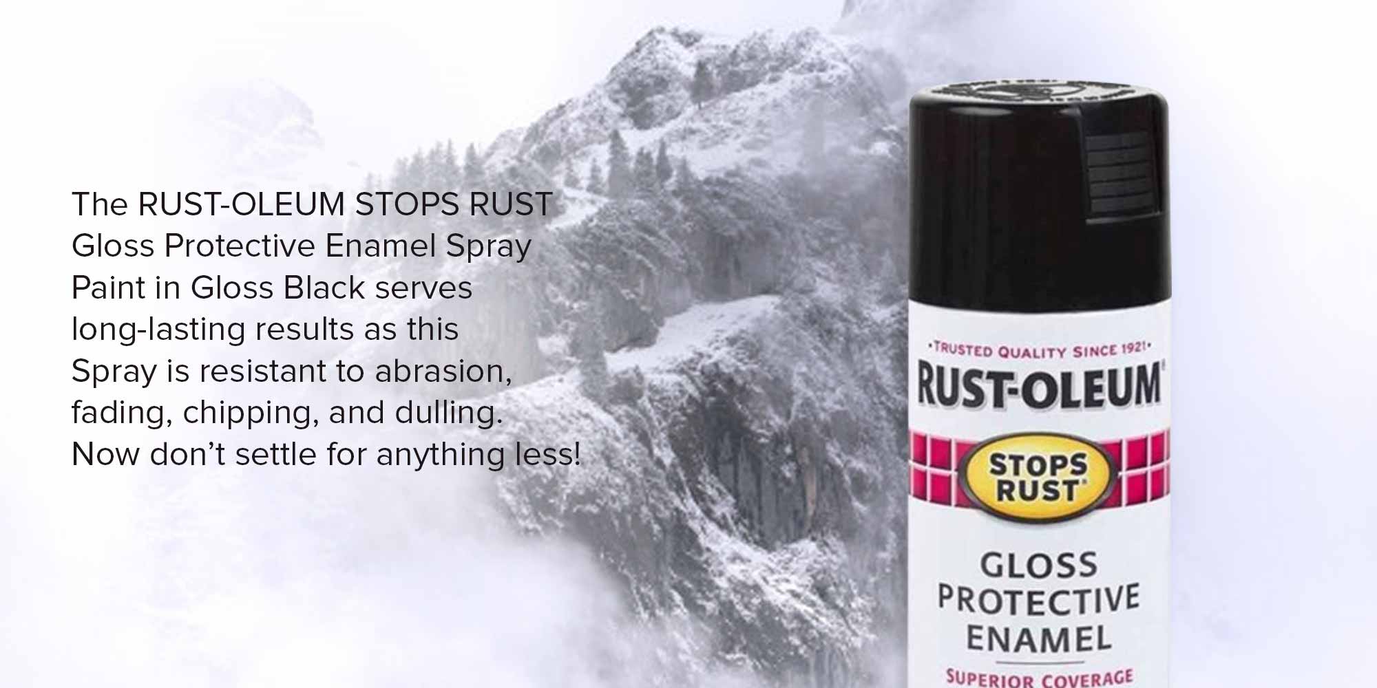 Stops Rust Protective Enamel Spray Paint Gloss Black