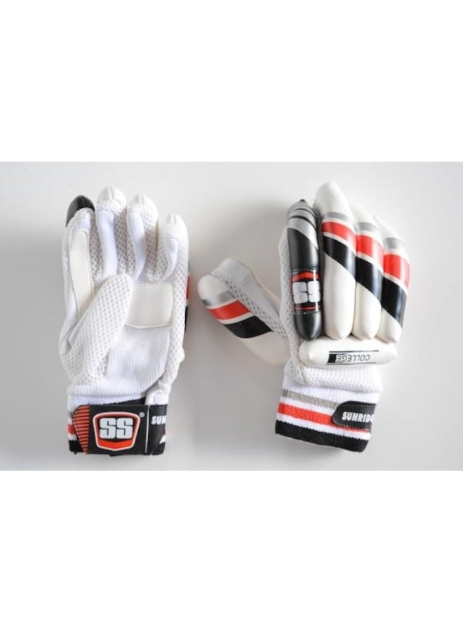 Cricket Batting Gloves Ss College