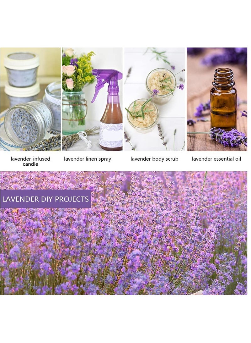 5A Lavender Sachet 10g 10pcs Natural Lavender Dried Flower Bag Scent Sachet Drawer Freshener Premium Grade Dried Lavender Deodorizer Freshener for Drawers and Closets Home Car Fragrance Product