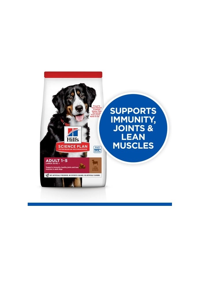 Hill's Science Plan Large Breed Adult Dog Food with Lamb & Rice