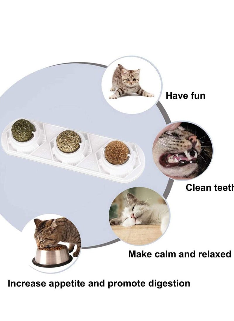 Catnip Squash Ball Toy 3 in 1 Rotatable Cat Snacks Edible with Natural Healthy Silver Vine Hair Chewing Clean Teeth Toys