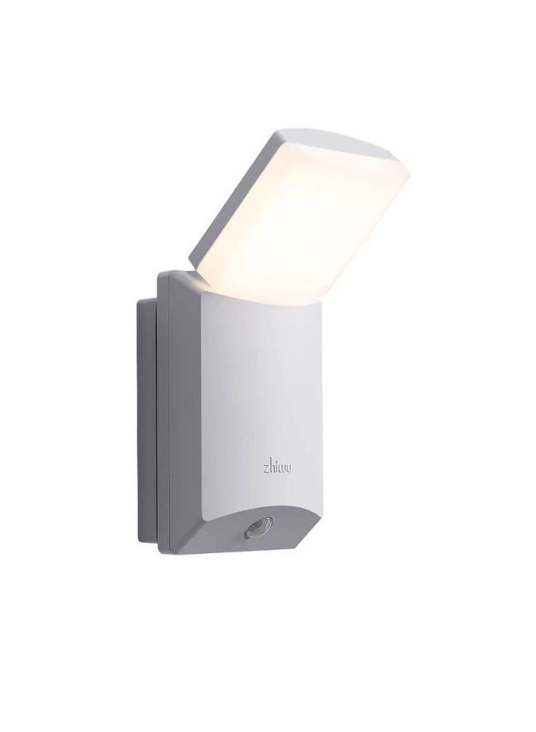 Motion Sensor Lamp