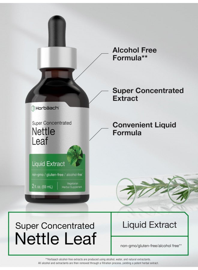 Stinging Nettle Leaf Extract | 2 fl oz | Alcohol Free Liquid | Vegetarian, Non-GMO, Gluten Free Tincture | by Horbaach