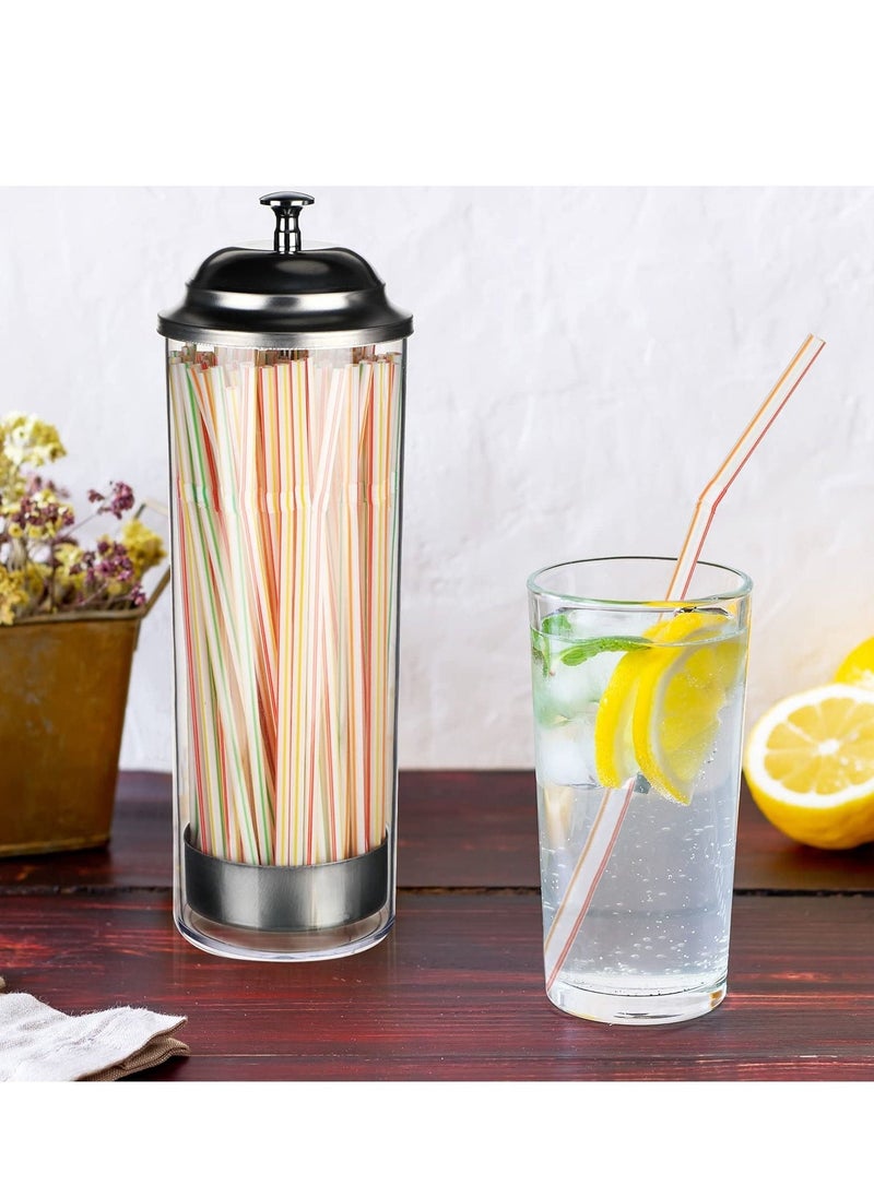 Straw Dispenser, Stainless Steel Plastic Drinking Straw Organizer Container with Lid, Transparent Drinking Straw Holder (27cm / 10.6in, Drinking Straw is Not Include)