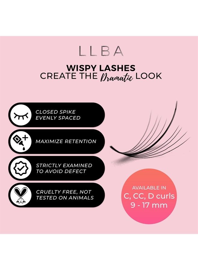 Promade Wispy Lash Extensions 9D 0.05, 100% Handmade Eyelashes Volume Fans, C Cc D Curls, 9-17 Mm Length, Long-Lasting, Easy Application (C 11 mm)