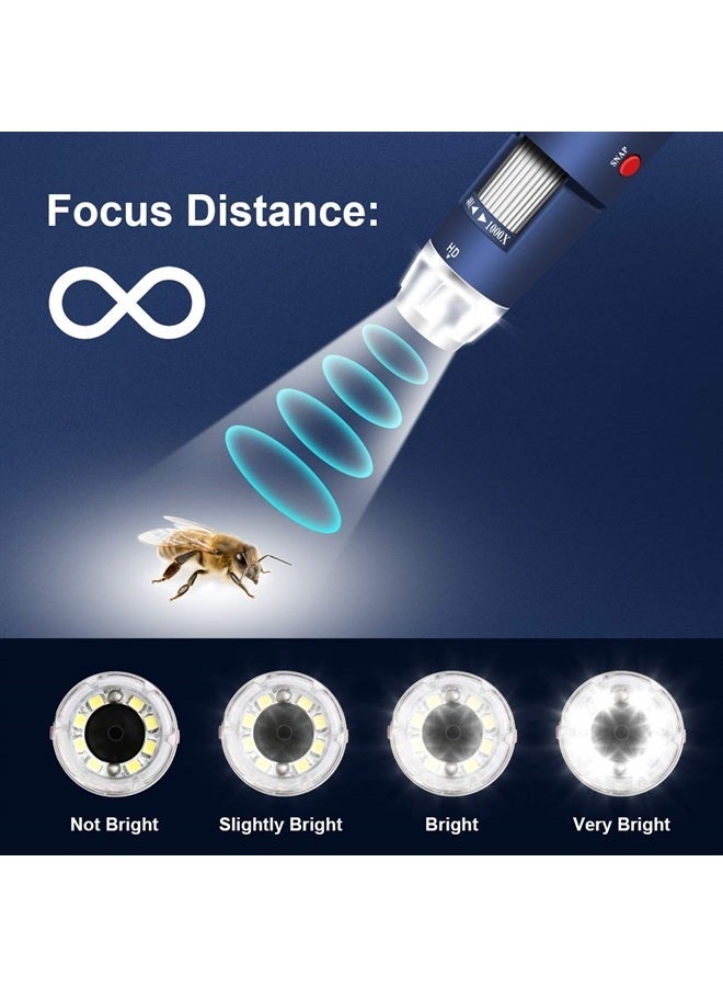 HD 2MP USB Digital Microscope 40-1000X Portable Magnification Endoscope Camera with 8 LEDs Aluminum Alloy Stable Stand for OTG Android Mac Windows 7 8 10 11 Linux Chrome