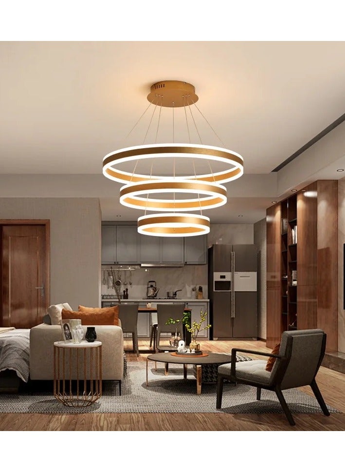 Modern 3 Rings LED Circle Pendant Chandeliers Dimmable with Remote Control 3 Color Hanging light Adjustable for Living room Bedroom Kitchen Dining Office (Golden, 60cm 40cm 20cm)