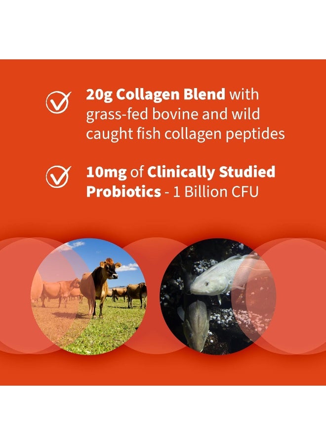 Marine And Grass Fed Collagen Peptides Powder Supplement Type With Probiotics And Bcaas Unflavored 20G Per Serving 12 Servings