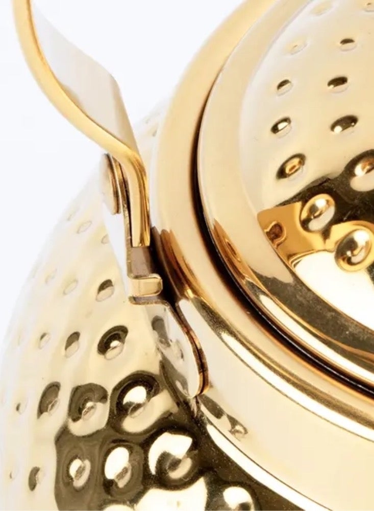Teapot with Removable Infuser, 1.6L Stainless steel Coffee & Tea Pots - Perfect filter for Loose Leaf Tea or Tea (Gold