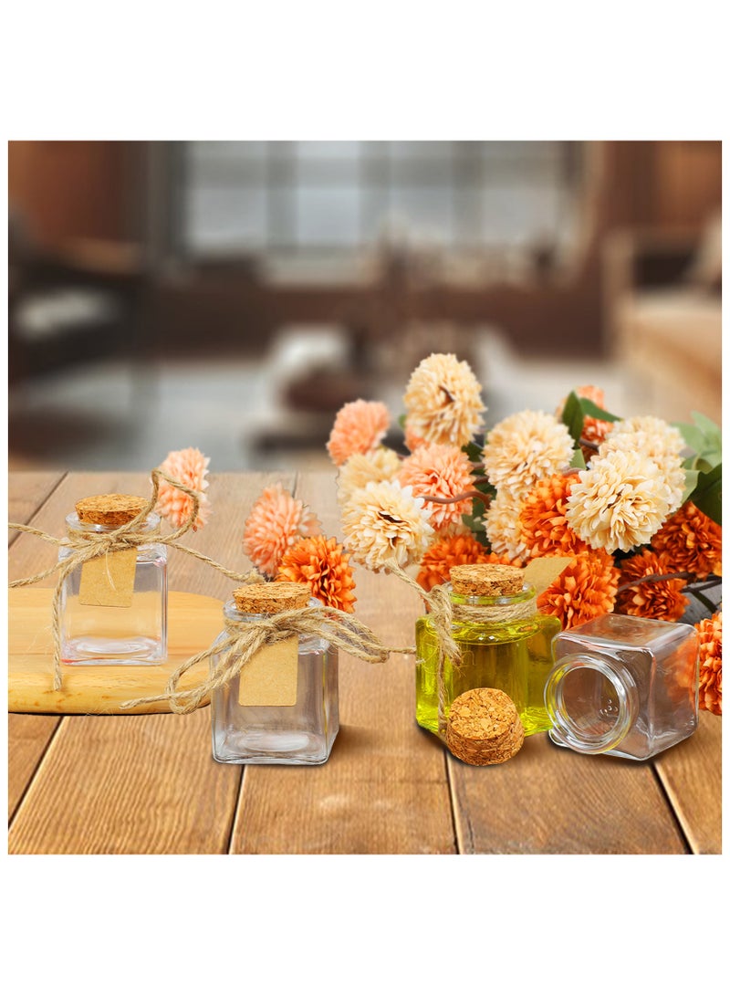 12Pack Small Glass Bottles with Cork Stoppers - 1.7 oz (50ml) Mini Jars with Twine and Blank Tags for Gift Favors, Spices, Crafts