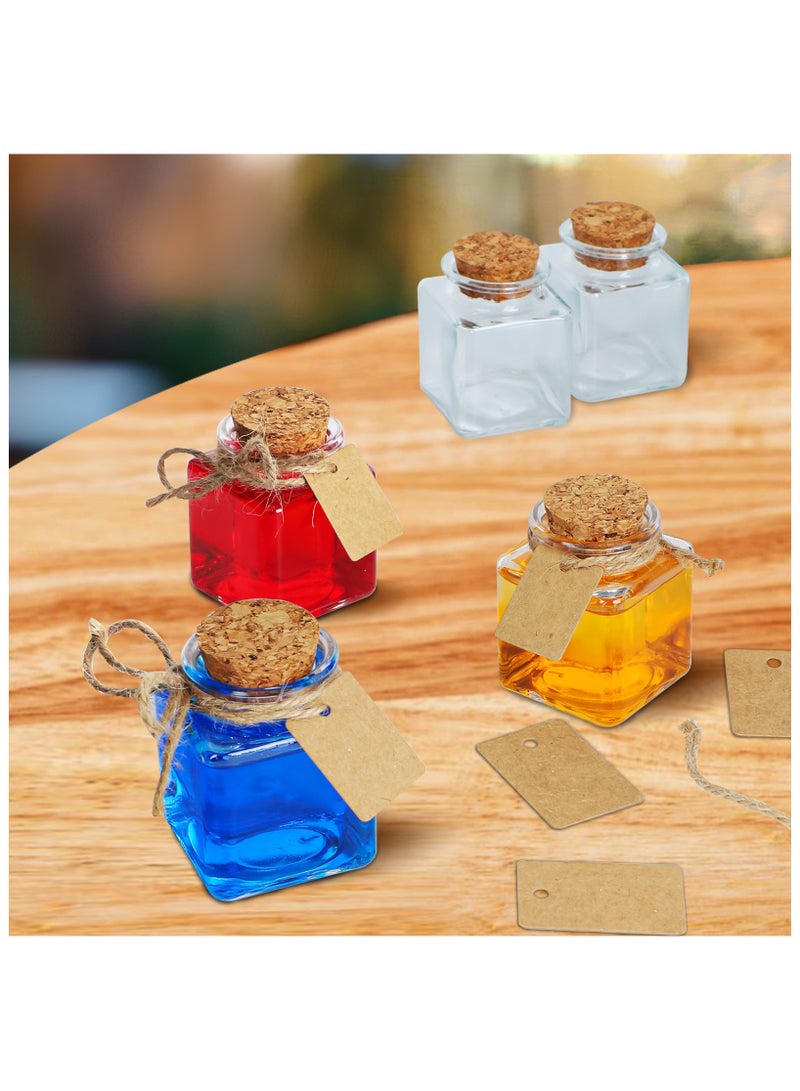 12Pack Small Glass Bottles with Cork Stoppers - 1.7 oz (50ml) Mini Jars with Twine and Blank Tags for Gift Favors, Spices, Crafts