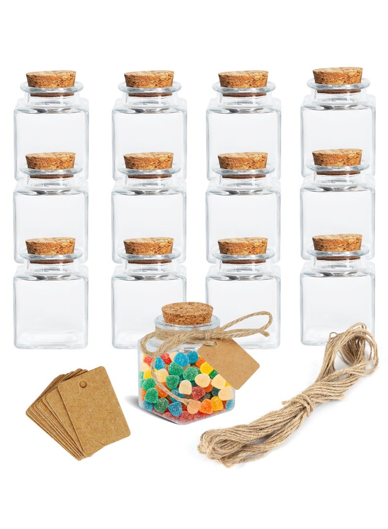 12Pack Small Glass Bottles with Cork Stoppers - 1.7 oz (50ml) Mini Jars with Twine and Blank Tags for Gift Favors, Spices, Crafts