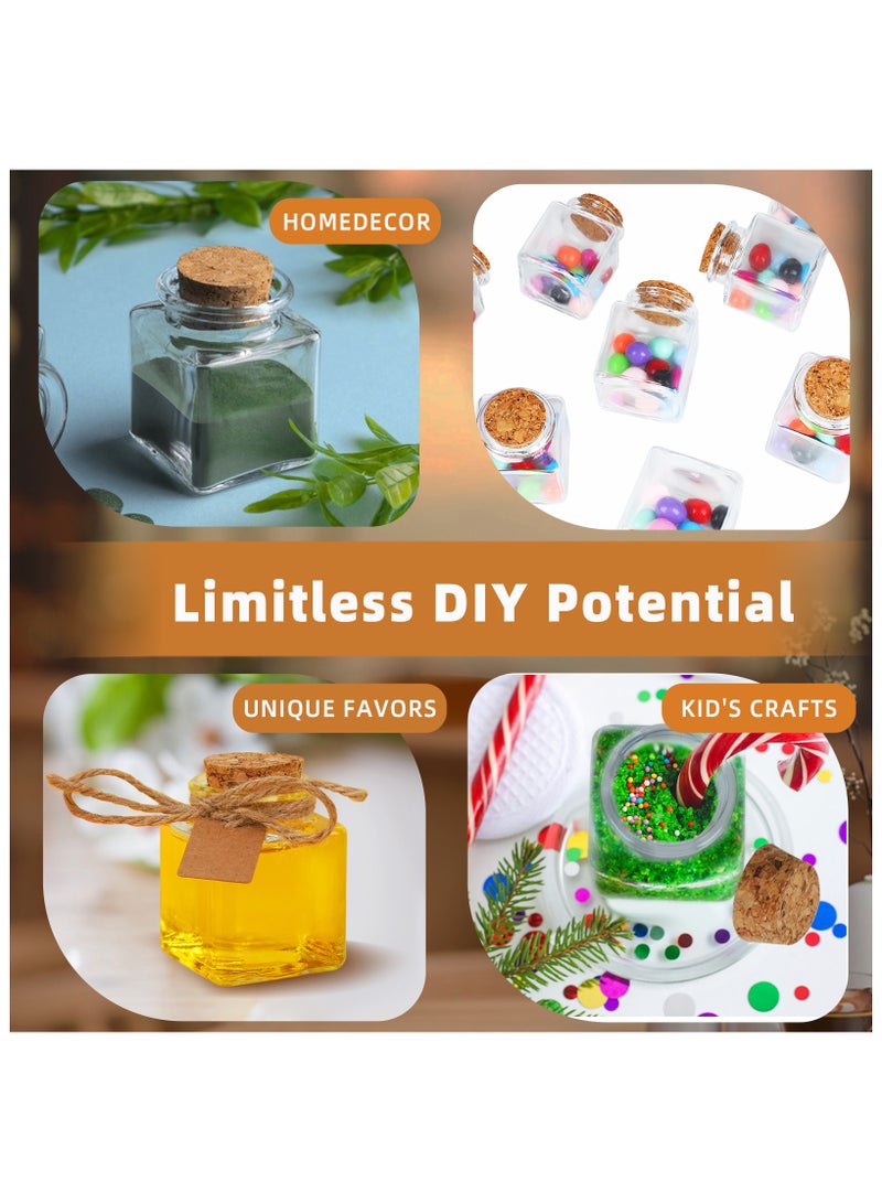 12Pack Small Glass Bottles with Cork Stoppers - 1.7 oz (50ml) Mini Jars with Twine and Blank Tags for Gift Favors, Spices, Crafts