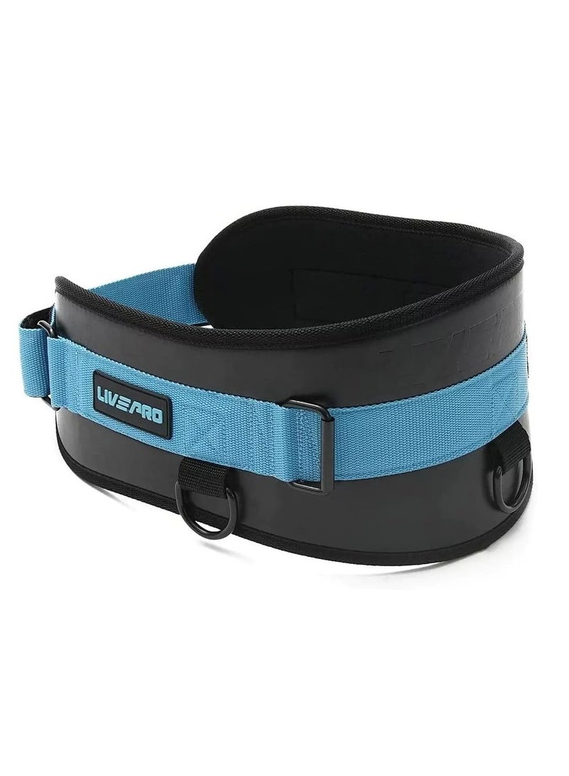 Weight Lifting Waist Belt