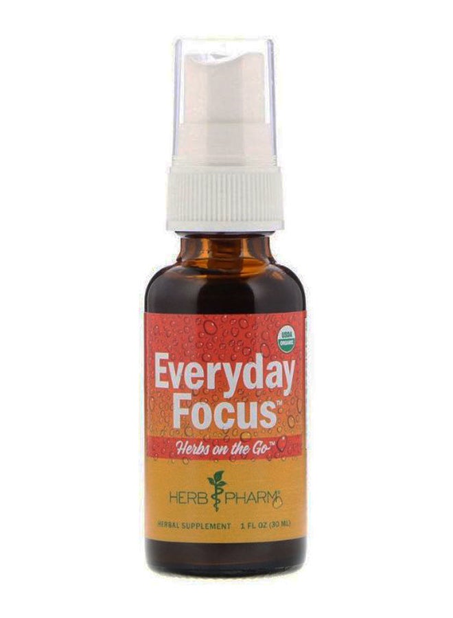 Everyday Focus