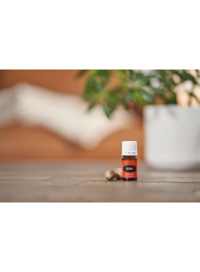 Nutmeg Essential Oil 5ml by Young Living Essential Oils