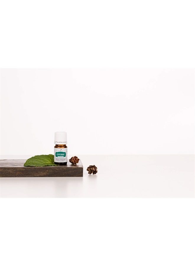 Peppermint Vitality Essential Oil by Young Living - 100% Pure, Therapeutic-Grade Peppermint Oil for Culinary Use - 5 ml Bottle for Aromatherapy and Flavoring Beverages and Food
