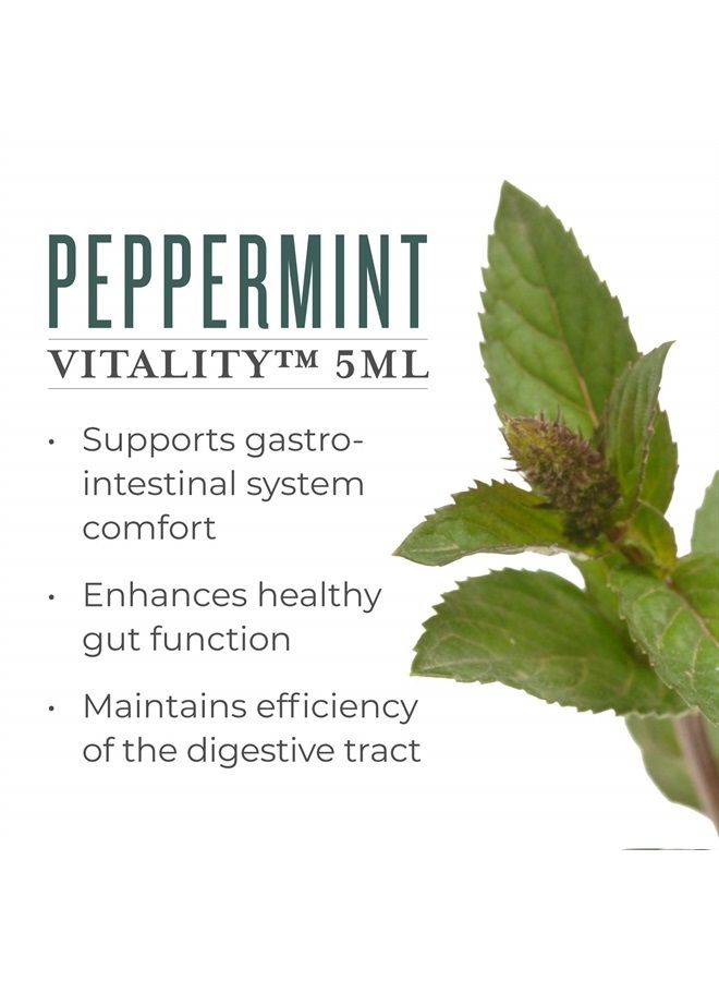 Peppermint Vitality Essential Oil by Young Living - 100% Pure, Therapeutic-Grade Peppermint Oil for Culinary Use - 5 ml Bottle for Aromatherapy and Flavoring Beverages and Food