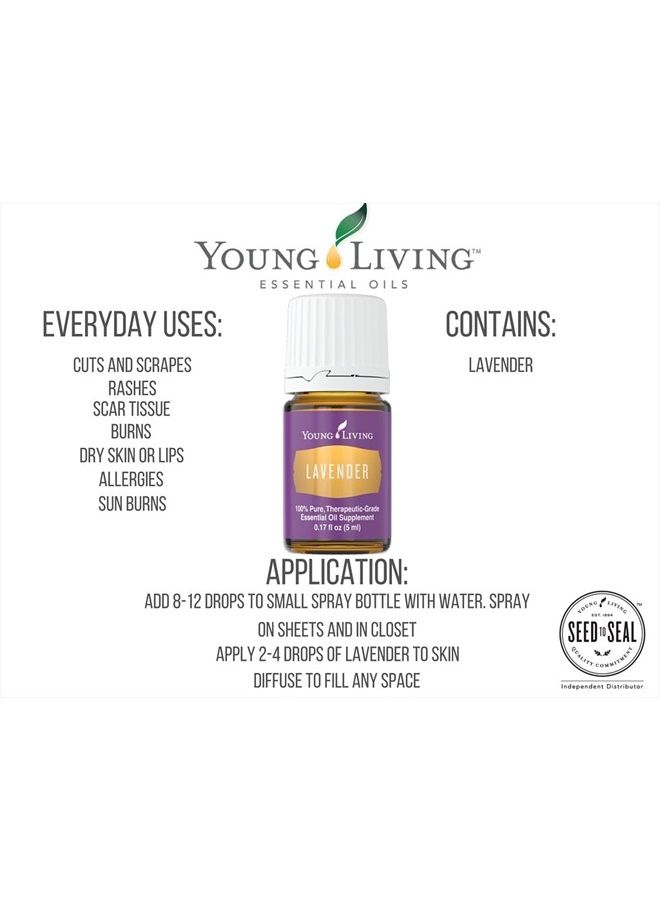 Lavender 5ml Essential Oils by Young Living Essential Oils