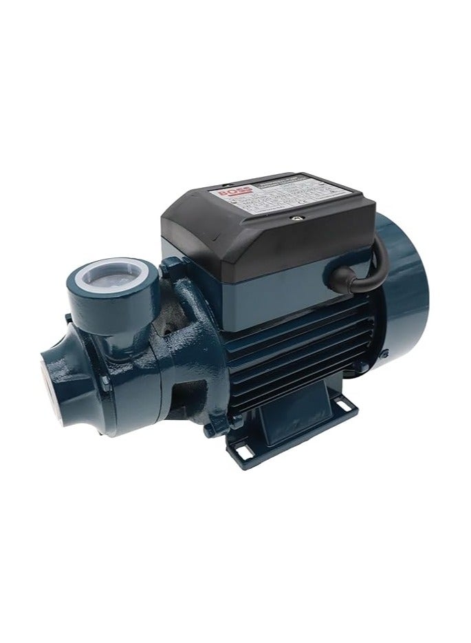 REPLACEMENT WATER PUMP FOR HOME & GARDEN USE