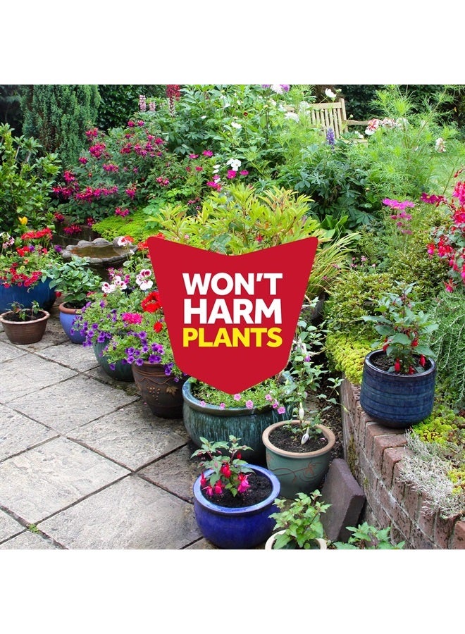 Multi Insect Killer, Orange Breeze Scent Bug Killer for Indoor and Outdoor Use, Kills Bugs on Contact, 15 Oz