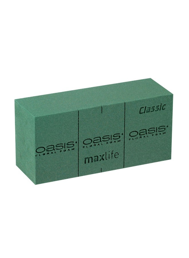 Oasis Flower Foam Classic Maxlife  20pcs