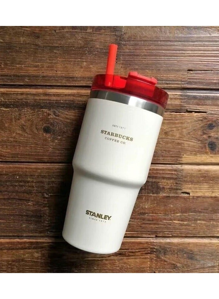 Stanley Insulated mug with straw lid, for water, Iced Tea or Coffee, Juice and Smoothie 20 oz.