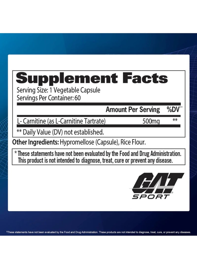 Gat Sport, L-Carnitine, 60 Caps, 30 Servings