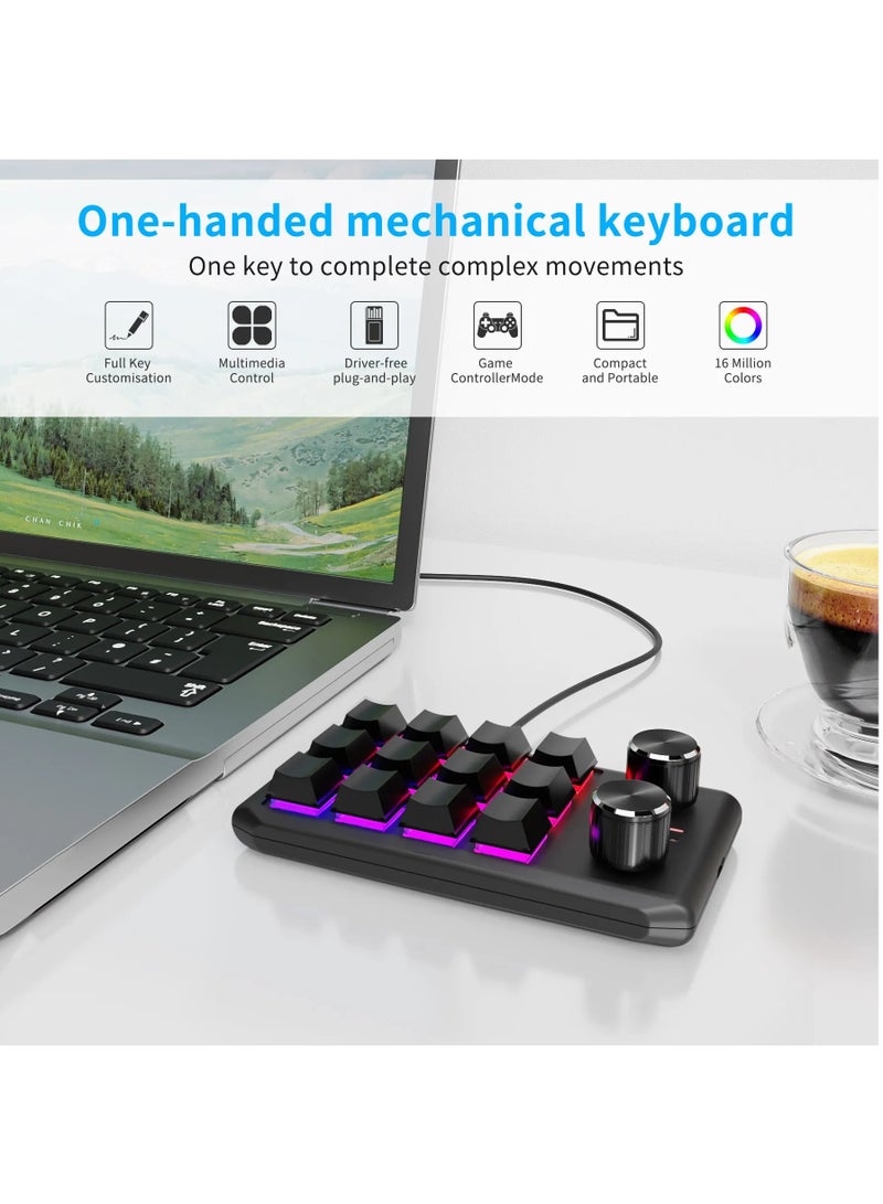 Programming Macro Custom 2 Knob Bluetooth Keyboard RGB 12 Key Copy Paste Mini on Gaming Keypad Mechanical Hotswap Macropad