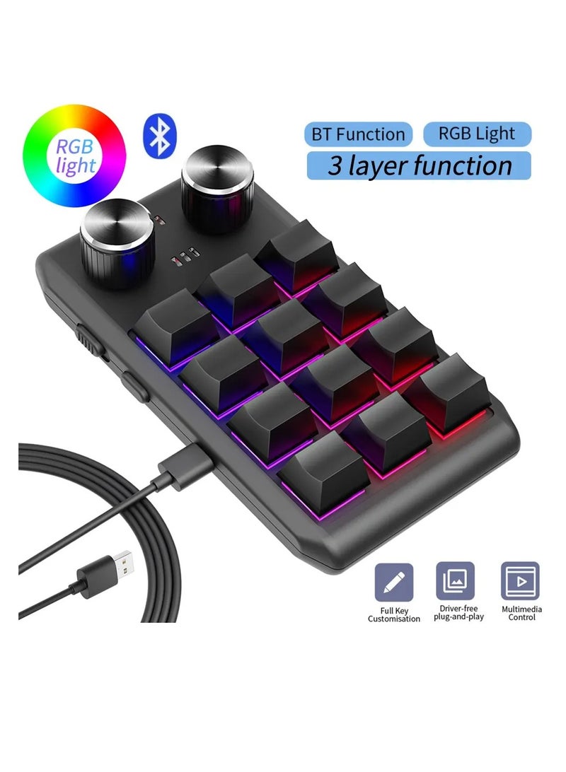 Programming Macro Custom 2 Knob Bluetooth Keyboard RGB 12 Key Copy Paste Mini on Gaming Keypad Mechanical Hotswap Macropad