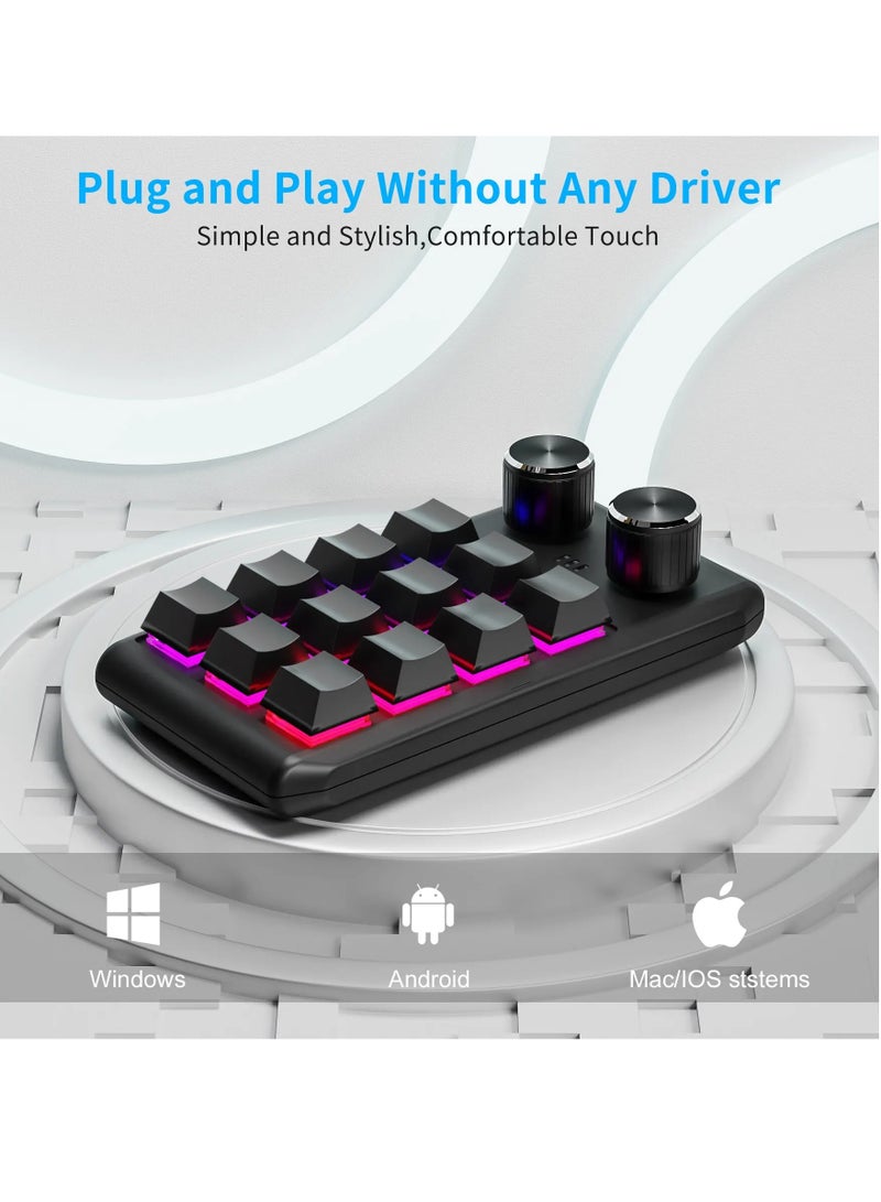 Programming Macro Custom 2 Knob Bluetooth Keyboard RGB 12 Key Copy Paste Mini on Gaming Keypad Mechanical Hotswap Macropad