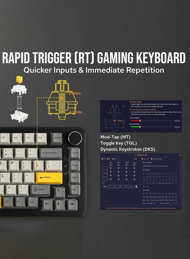 AK820 MAX Wired Gaming Keyboard,Rapid Trigger Keyboard, Hall Effect Gasket Mechanical Keyboard, Adjustable Actuation, Magnetic Switches, RGB for Win/Mac (Black, BlackGrey, flying fish switch)