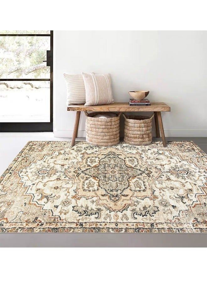 Ethnic Style Living Room Carpet imitation Cashmere with Dot Plastic Bottom 200X300cm Style-7