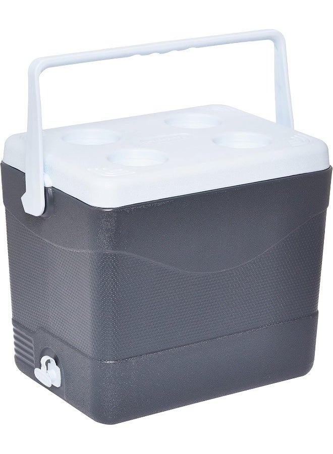 Keep Cold Plastic Picnic Cooler Icebox 24 Liters Cool Grey 24.0Liters