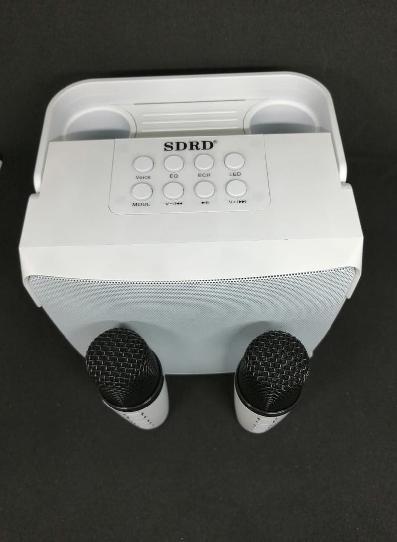 Wireless Bluetooth Speaker With 2 Microphones Portable Karaoke Machine