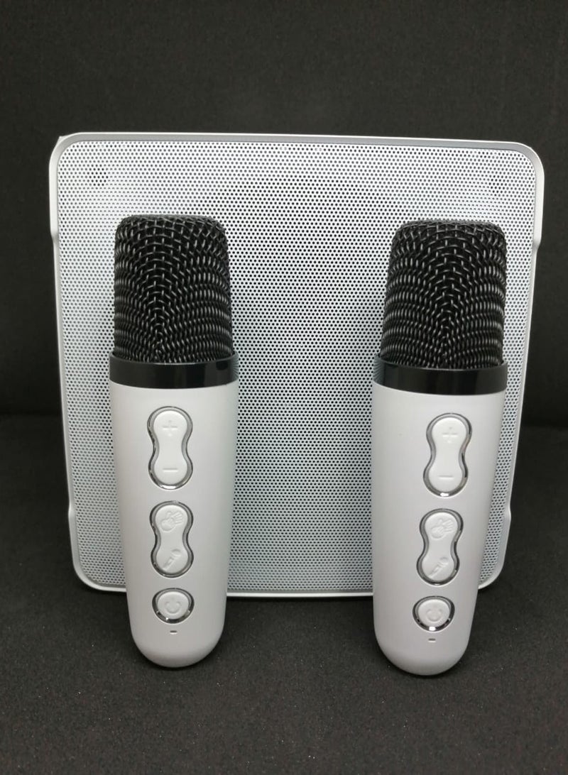 Wireless Bluetooth Speaker With 2 Microphones Portable Karaoke Machine