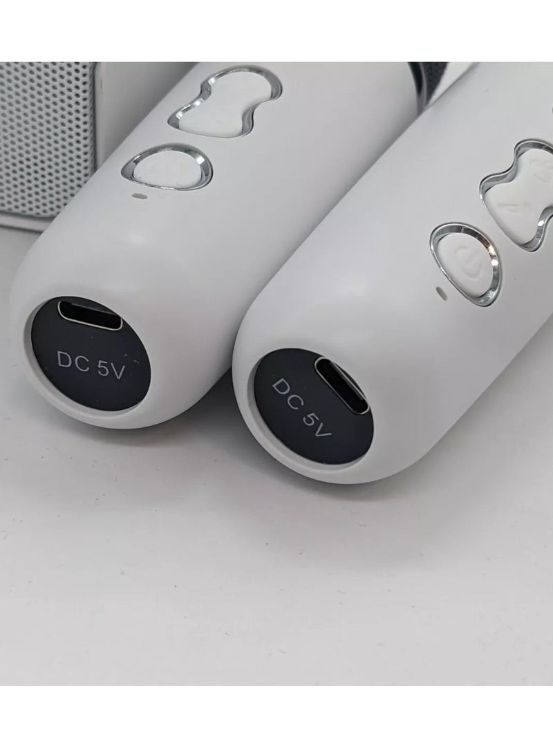 Wireless Bluetooth Speaker With 2 Microphones Portable Karaoke Machine