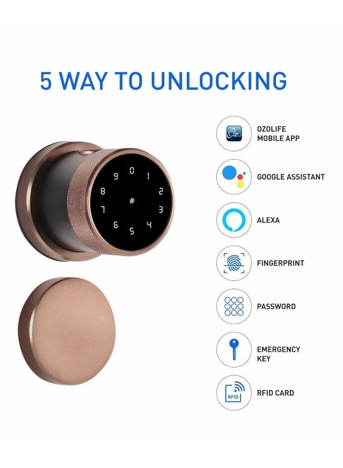 OZ-FDL-11-R Life Smart Lock for Wooden Doors with Google Assistant & Alexa Enabled (without Wi-Fi Gateway, Black) | By Ozone India