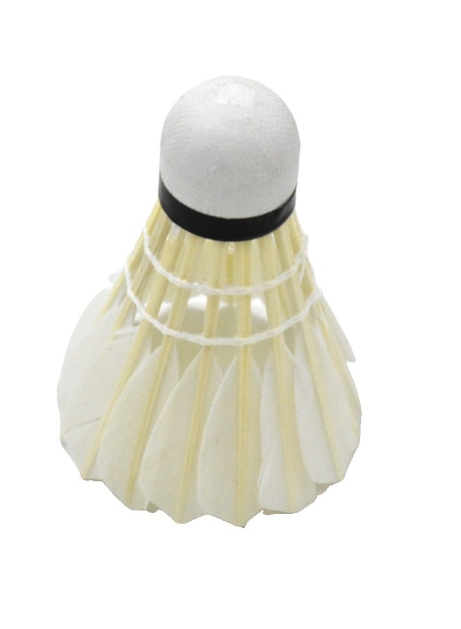 12-Piece Badminton Shuttlecock